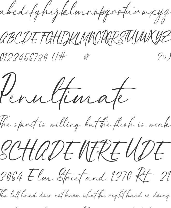 Savannah font preview