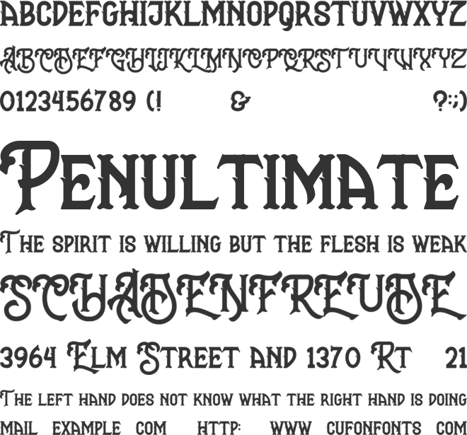 Mangrove font preview