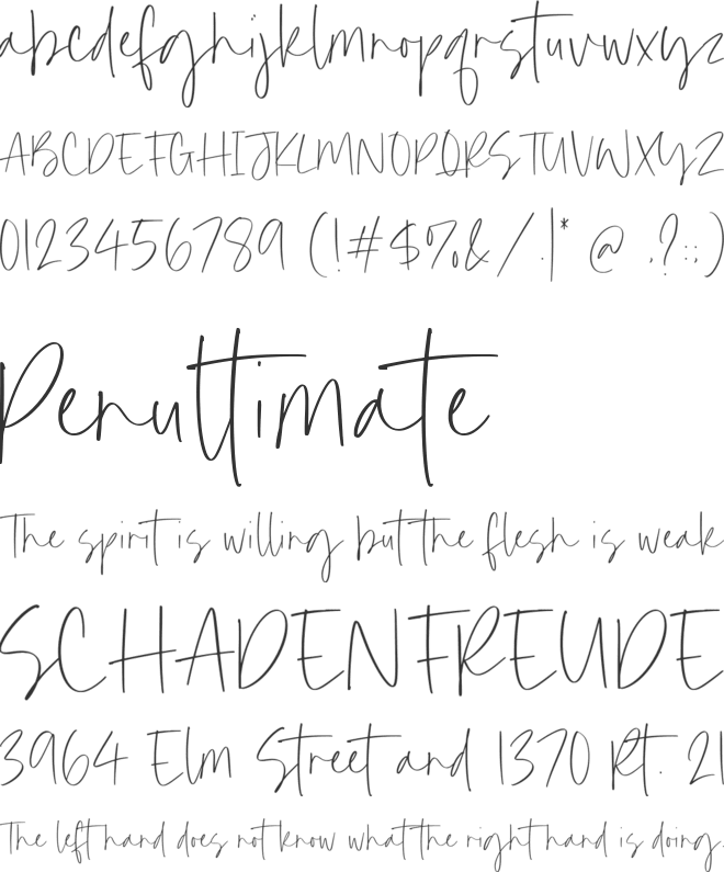 Hidden Beauty font preview