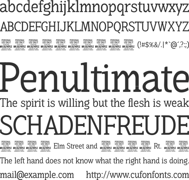 Hoyle Variable PERSONAL USE font preview