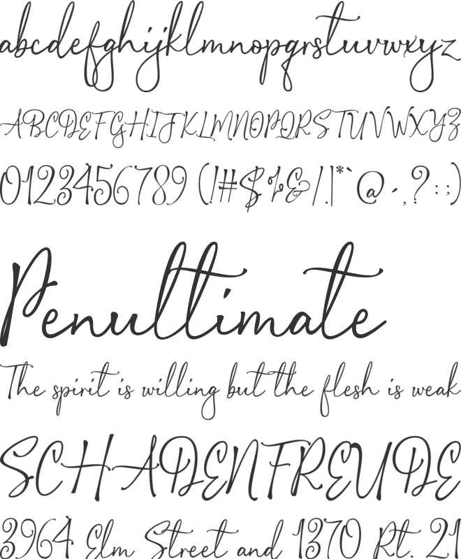 Salisha Signature font preview
