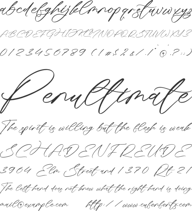 Monsttreal font preview