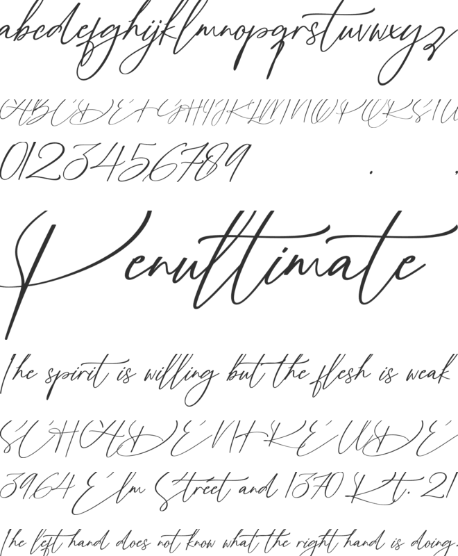 Middleburg font preview