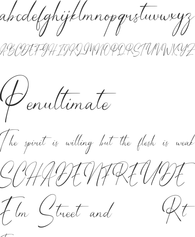 Willonita font preview