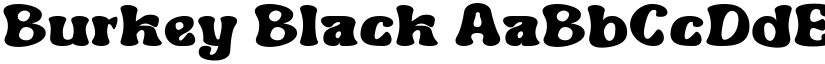Burkey Black font