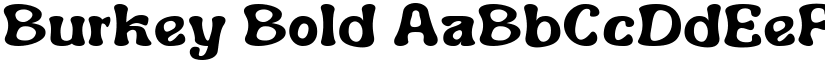 Burkey Bold font