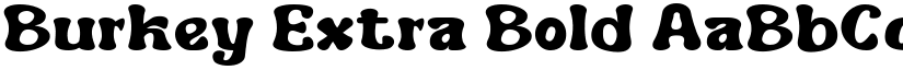 Burkey Extra Bold font