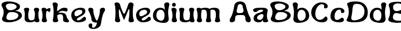 Burkey Medium font
