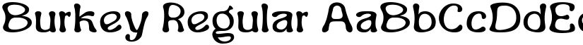 Burkey Regular font