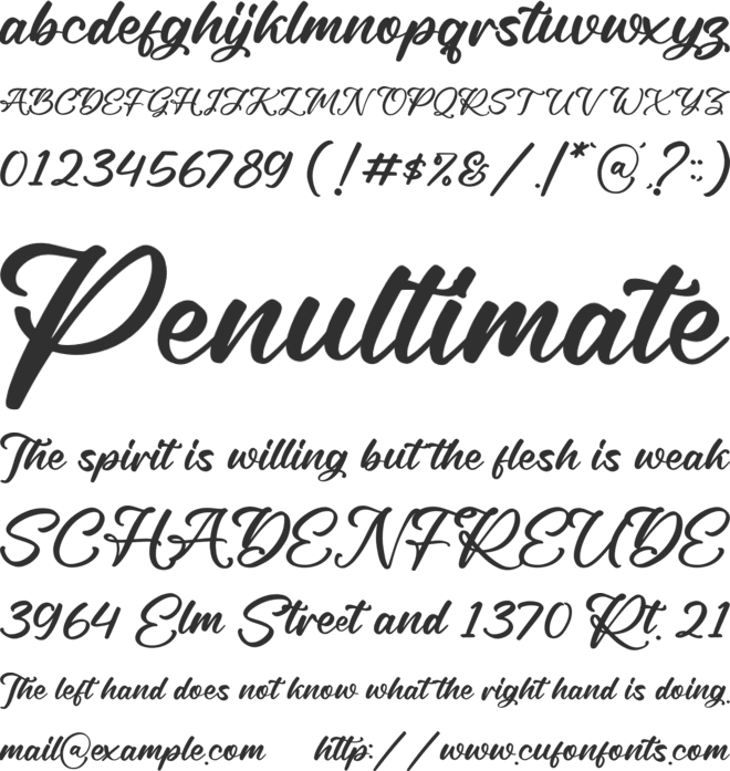 Rough Anthem font preview
