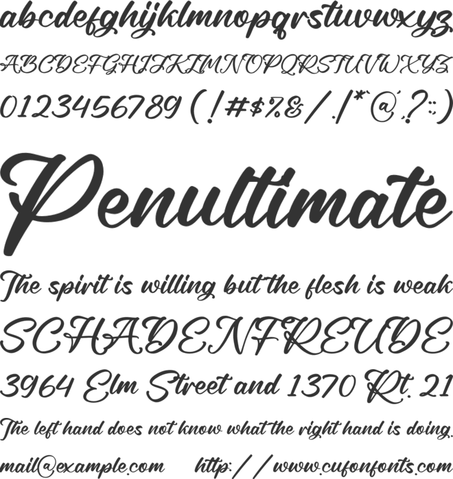 Rough Anthem font preview