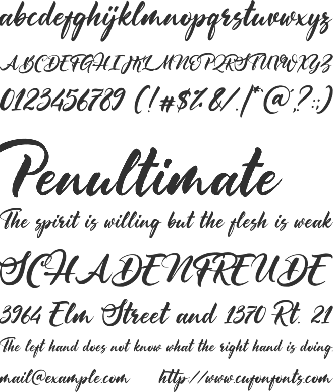 Immortal Paradise font preview