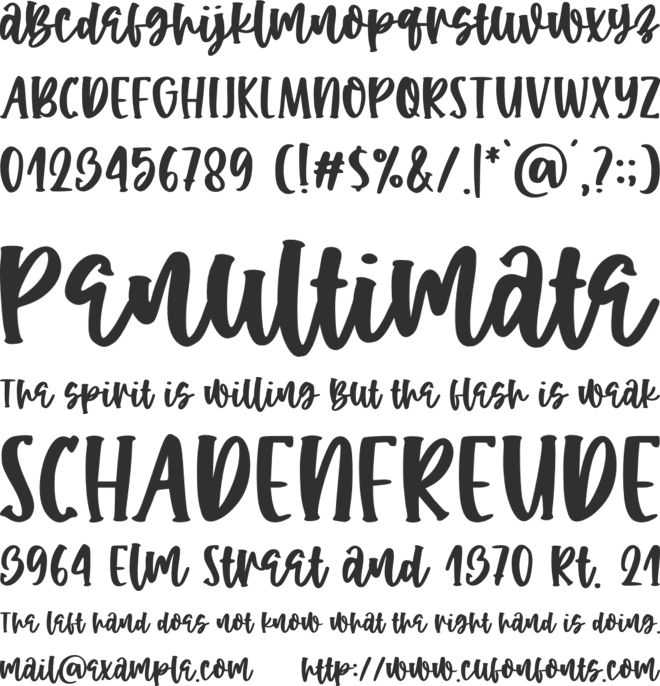 Spider in sparkle font preview