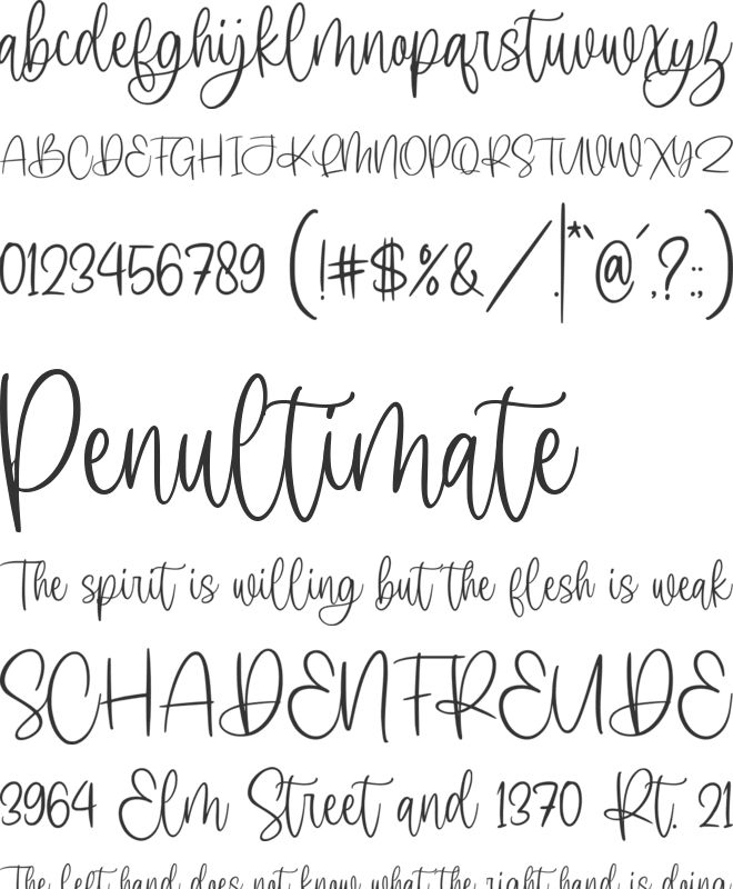 Molliena font preview