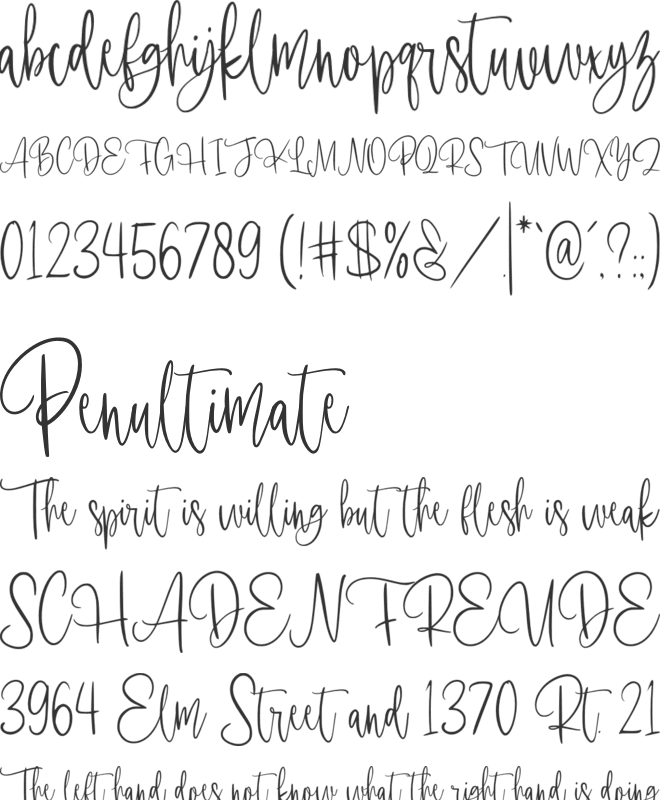 Romantyc Paradise font preview