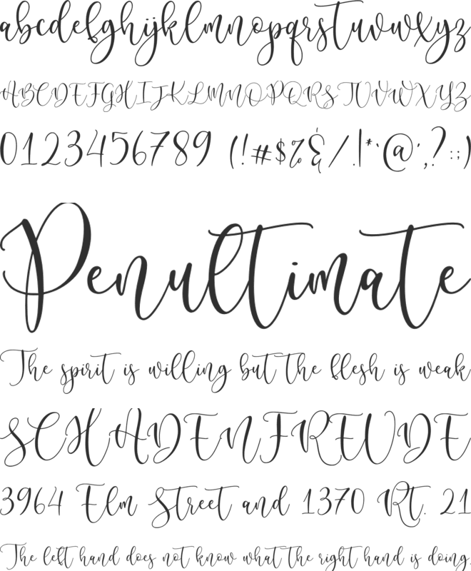 Selomitta font preview