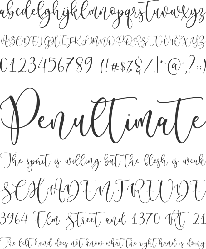 Selomitta font preview