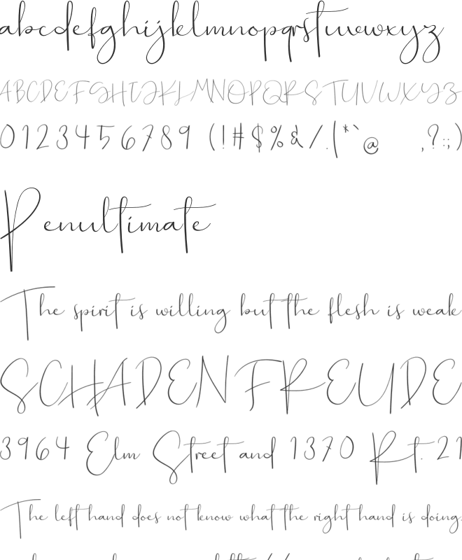 Lotions font preview