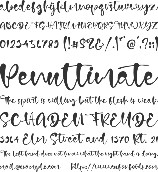 Donna Grace font preview