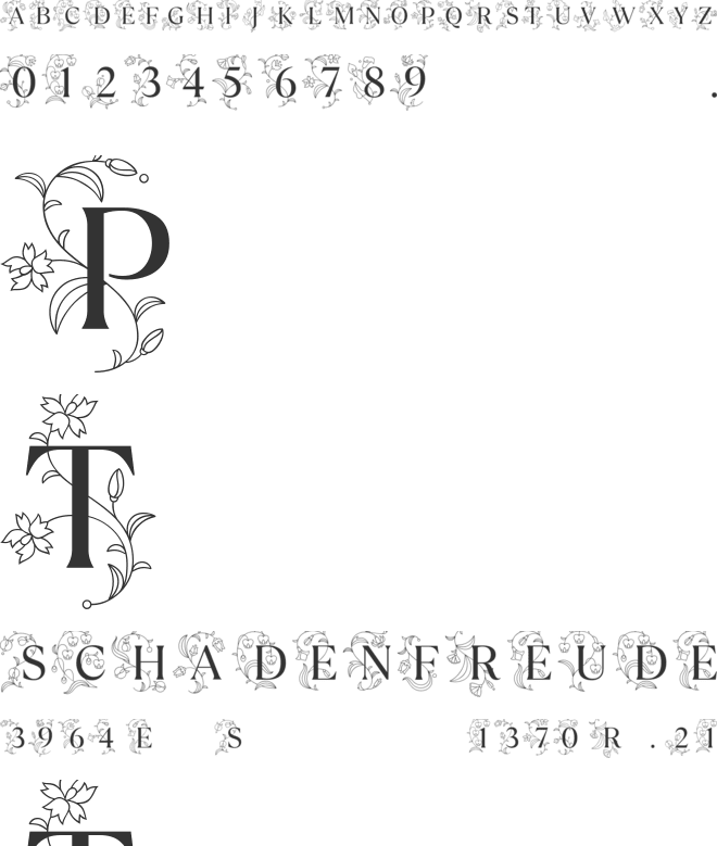 TT Ramillas Initials Trl font preview