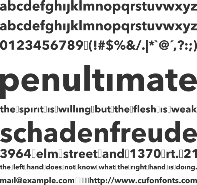 Participant Media 2019 font preview