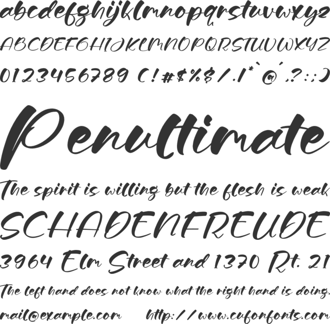 Shelbya font preview