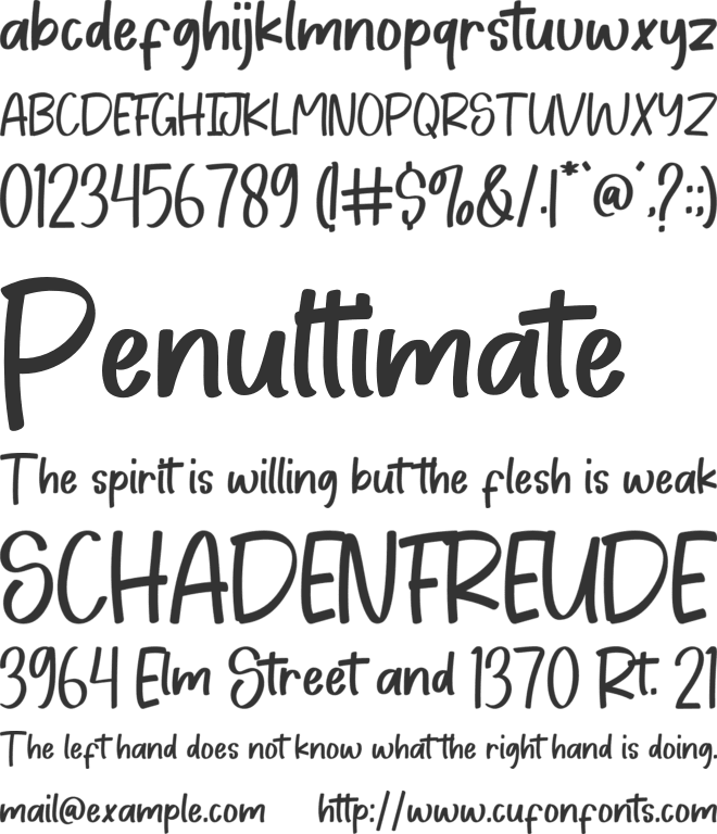 Blank Notes font preview