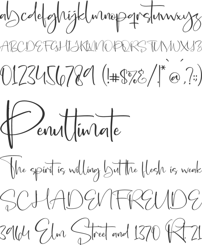 Angelica font preview