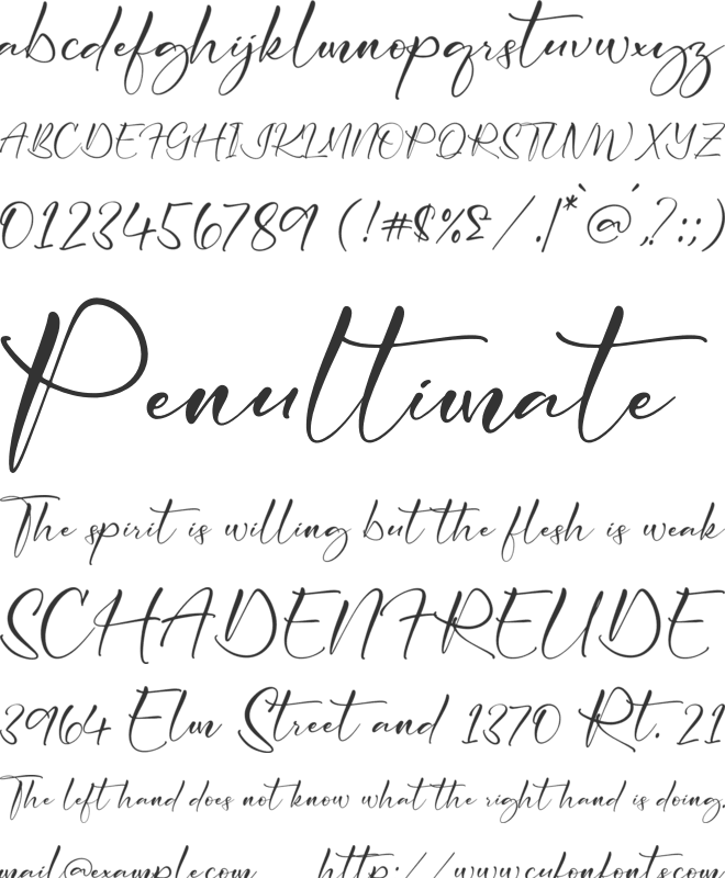 Cicaero font preview