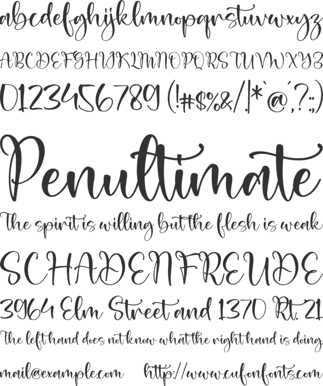 Abigail font preview