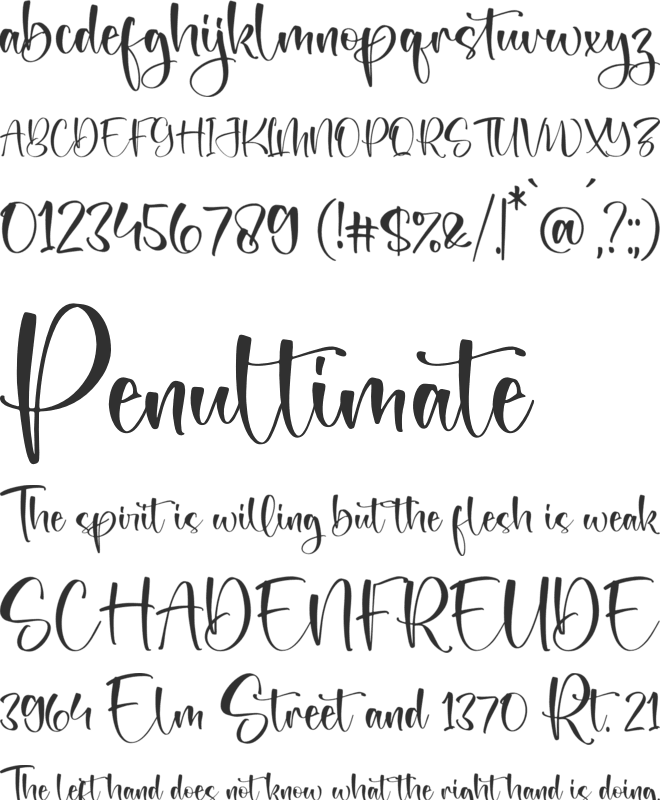 Bettista font preview