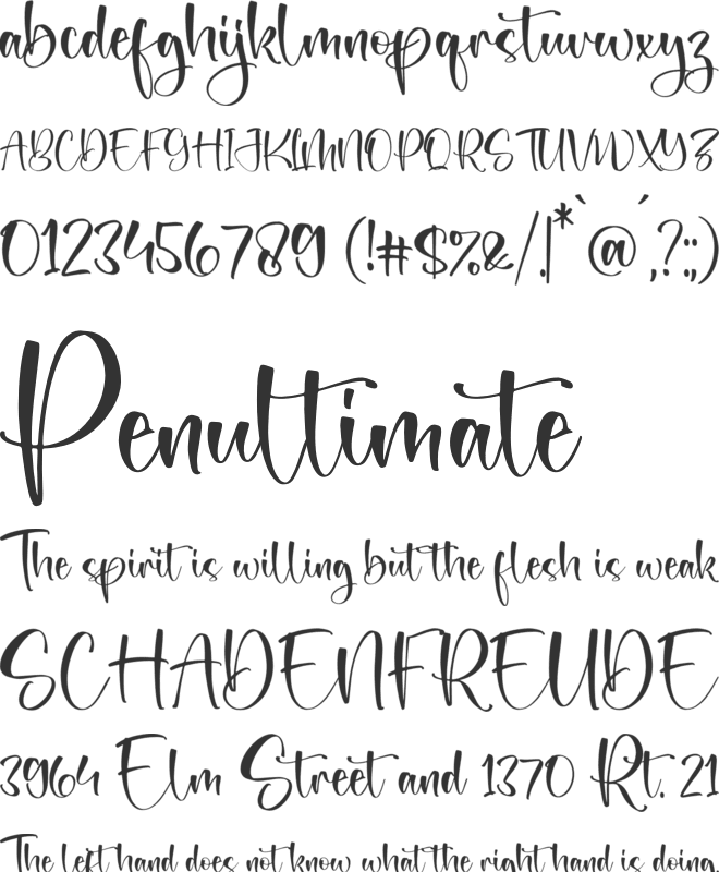 Bettista font preview