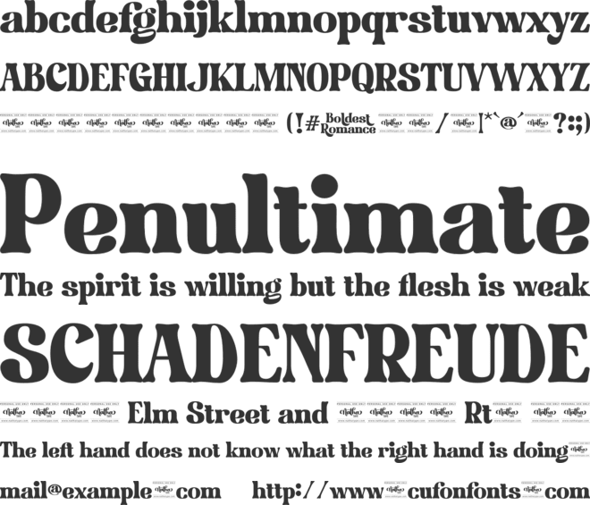 Boldest Romance Personal Use font preview
