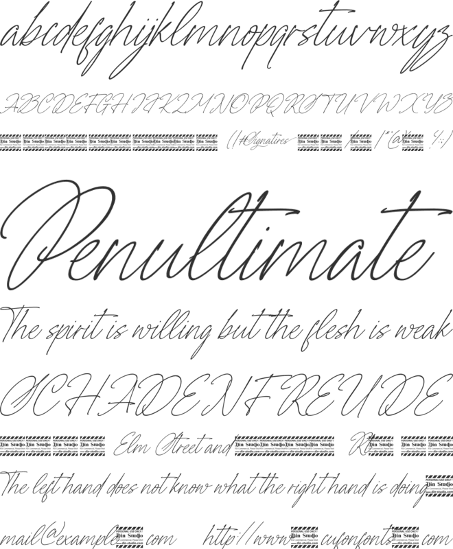 Signatires Personal Use font preview