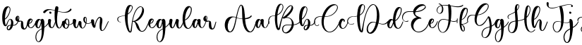 bregitown Regular font