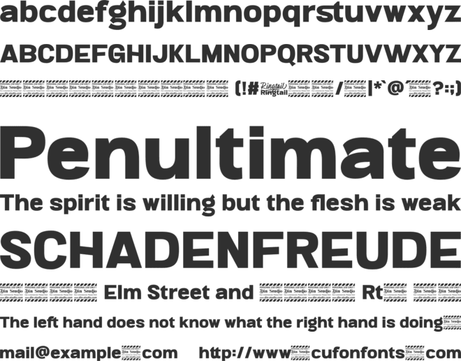 Ringtail Sans Serif Personal Use font preview