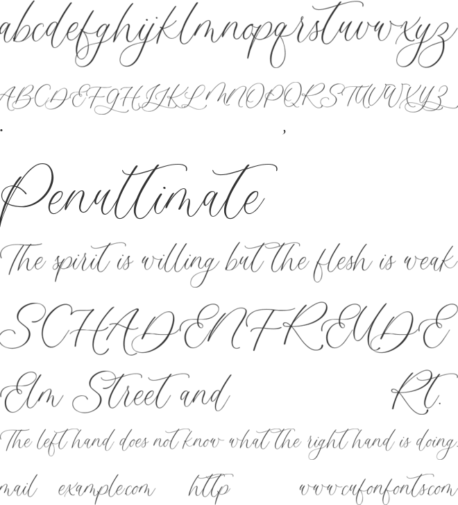 Beautigula font preview