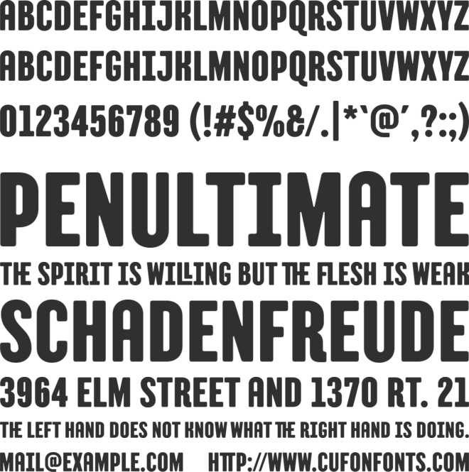 TT Berlinerins Trial font preview