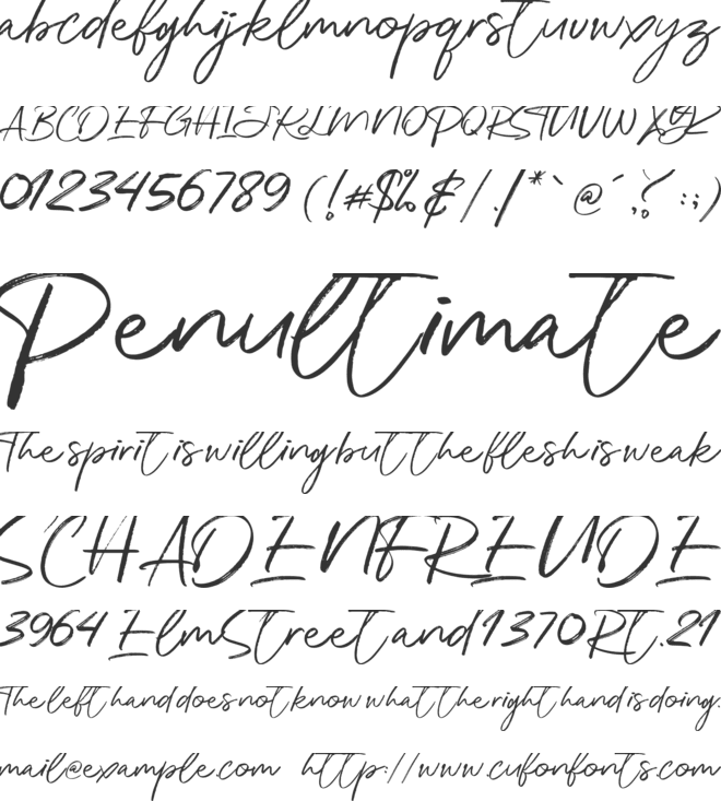 Katherina Signature font preview