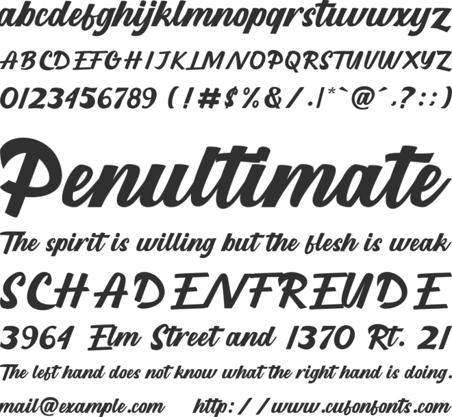 Longevity font preview