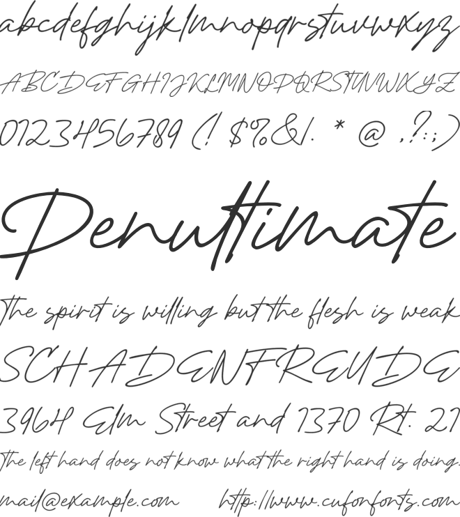 August July font preview