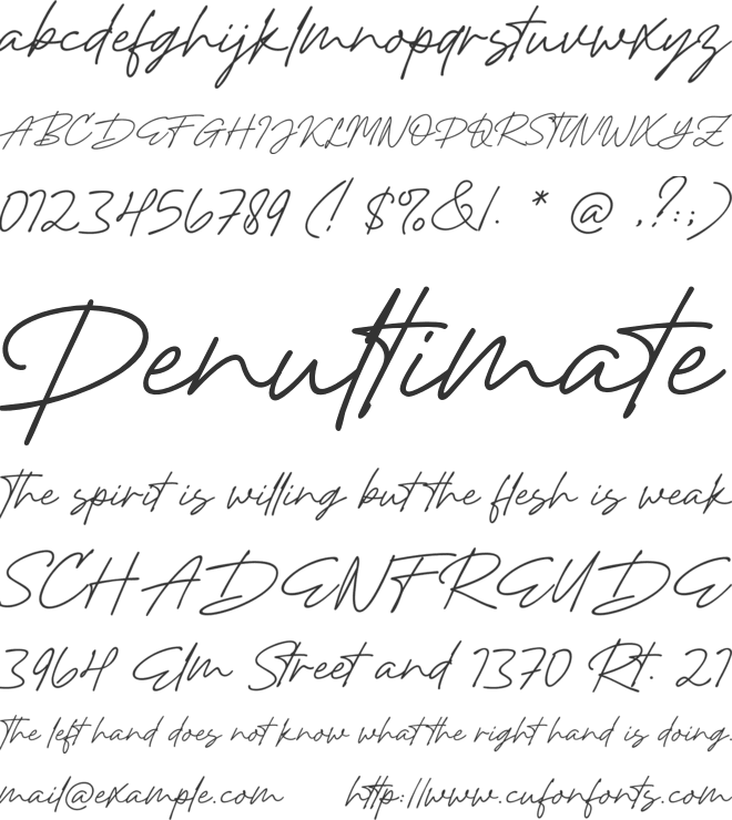 August July font preview