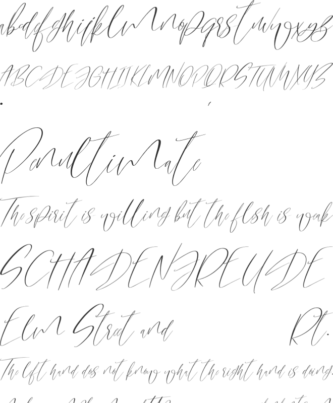 Maleding font preview