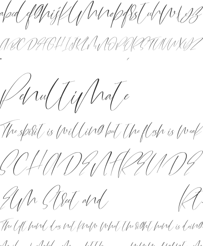 Caretune font preview