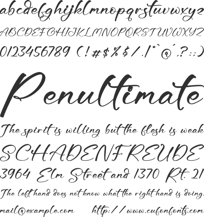 Goldtime Selindry font preview