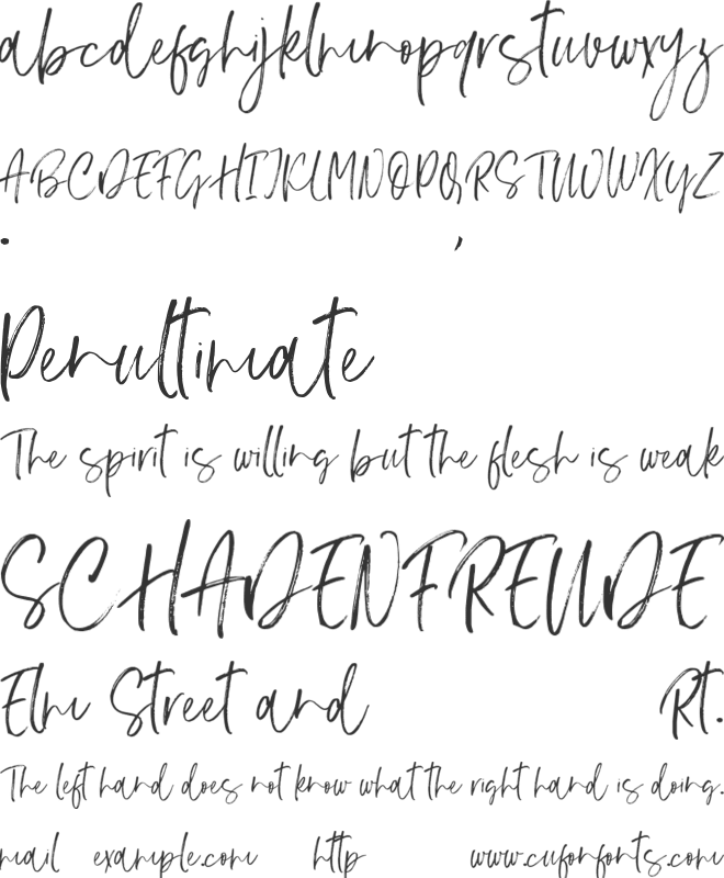 Norchell font preview