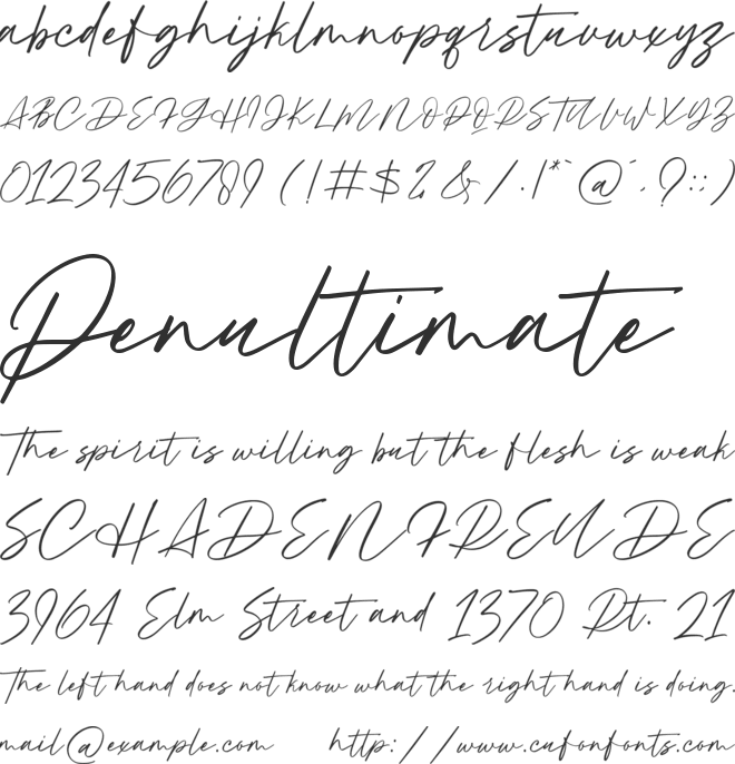 Hundred Signature font preview
