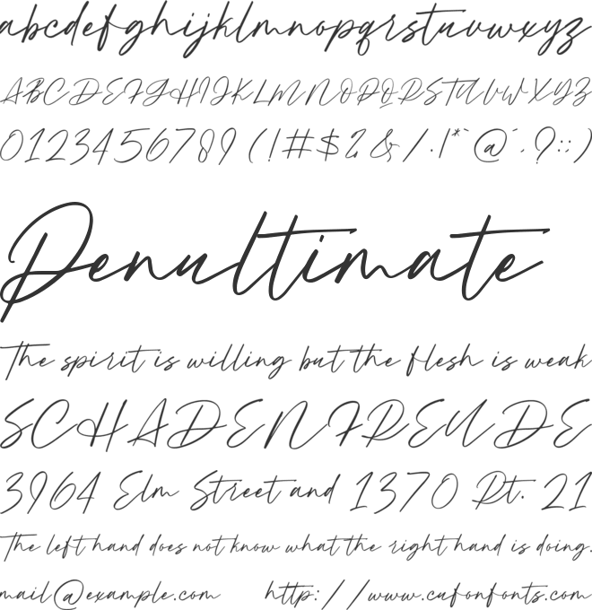 Hundred Signature font preview