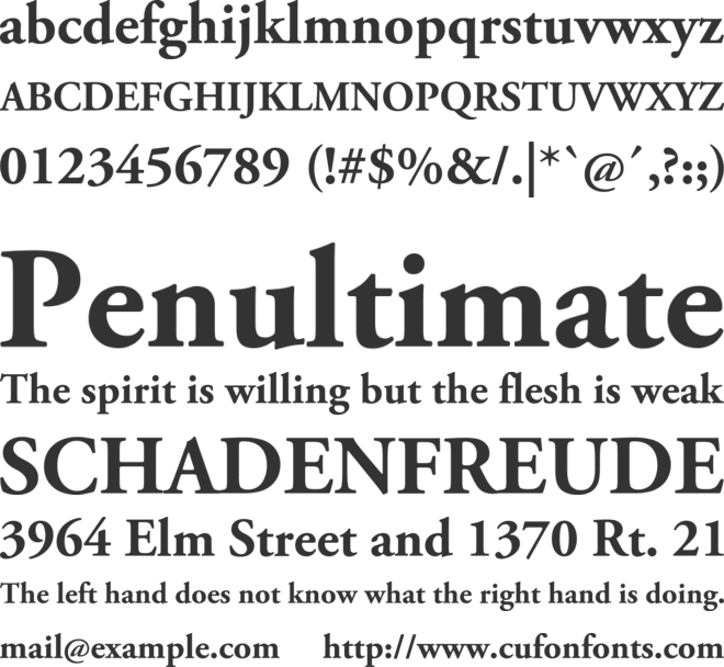 Adobe Garamond Pro Bold font preview