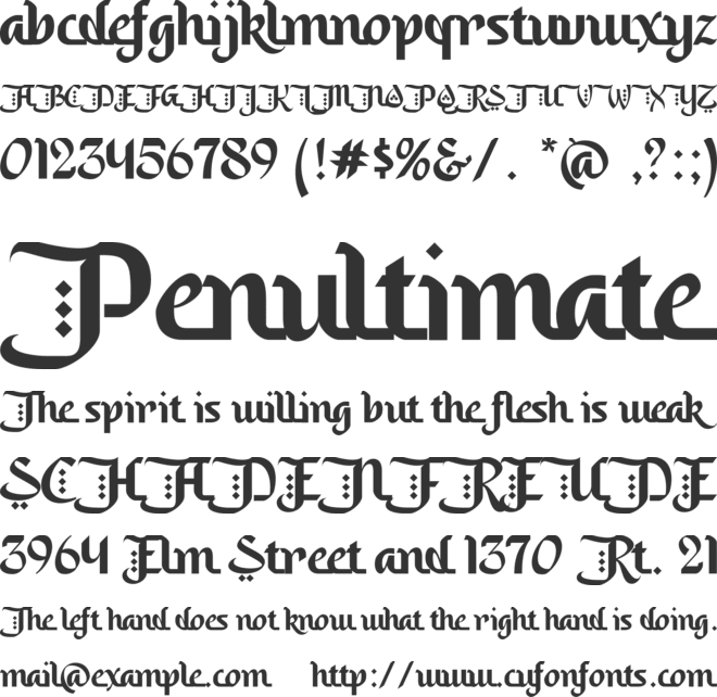 Saleha An Arabic Font Style font preview